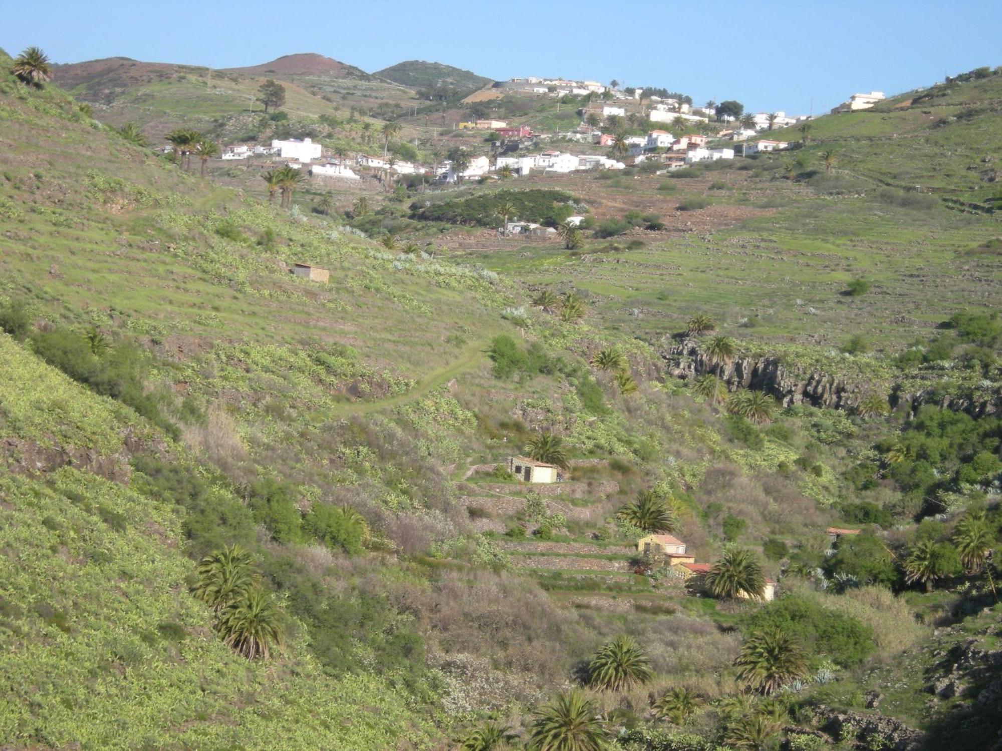 Ferienwohnung La Hoya Del Cura Valle Gran Rey Exterior foto